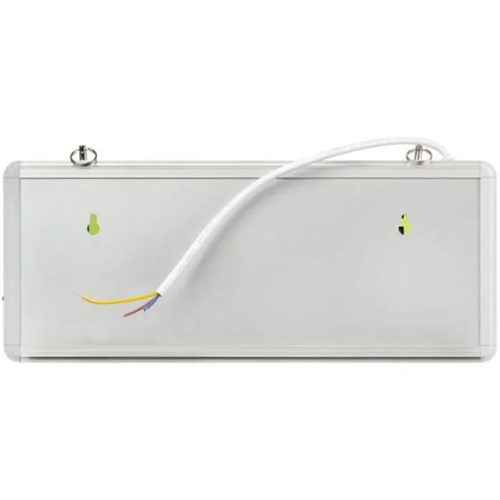 Светильник светодиодный SSA-101-1-20 3ч 3Вт ВЫХОД-EXIT универс. аварийный ЭРА Б0044388