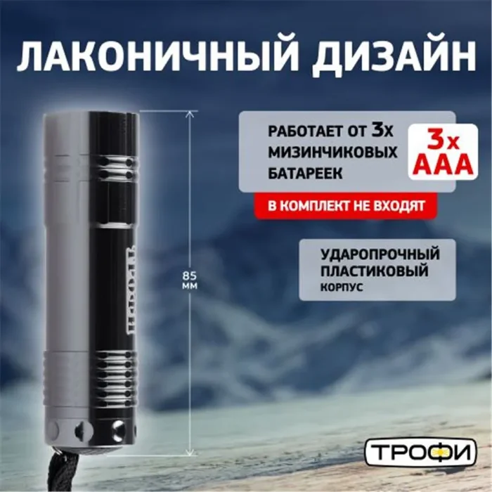 Фонарь ручной TM9 9LED алюм. элементы питания 3хAAA (не в компл.) (картон. упак.) Трофи Б0002225