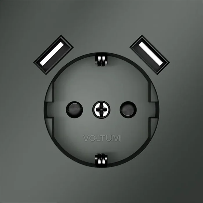 Розетка 1-м СП S70 16А с USB A+A с заземл. защ. шторки механизм титан Voltum VLS040406