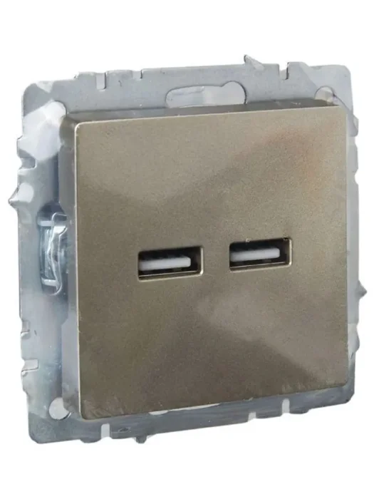 Розетка BRITE USB A+A 3.1А РЮ10-1-БрШ механизм шампань IEK BR-U21-D31-K37