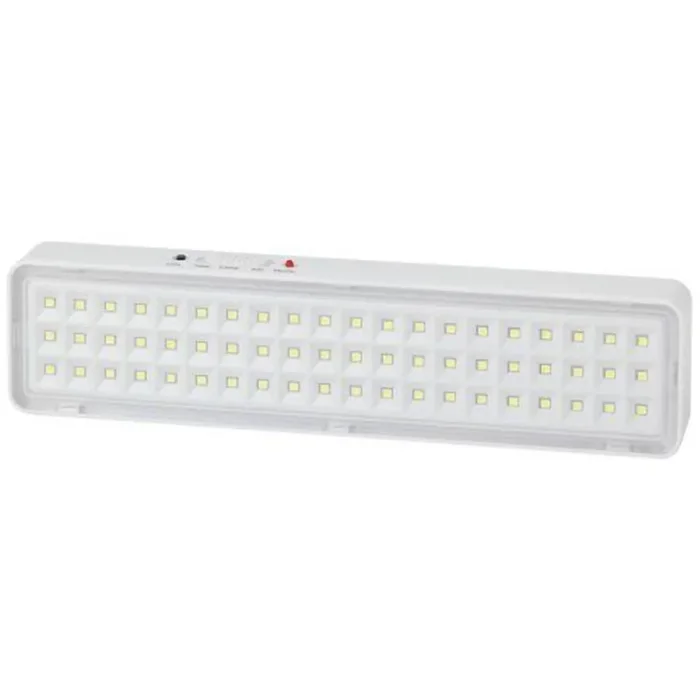 Светильник светодиодный DBA-103-0-20 60LED 5ч IP20 аварийный непостоянный Эра Б0044396