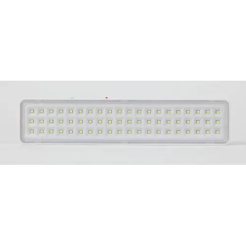 Светильник светодиодный DBA-103-0-20 60LED 5ч IP20 аварийный непостоянный Эра Б0044396