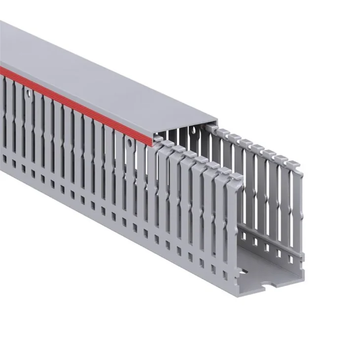 Кабель-канал перфорированный 40х60 L2000 RL6 G DKC 01107RL