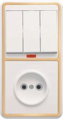 Блок БКВР-212 Бэлла (3-кл. выкл. с инд. + розетка) зол. Кунцево 5842