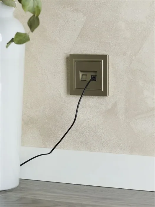 Розетка компьютерная двойн. СП RJ45 кат.5E BRITE РК10-2-БрШ механизм шампань IEK BR-K20-1-K37