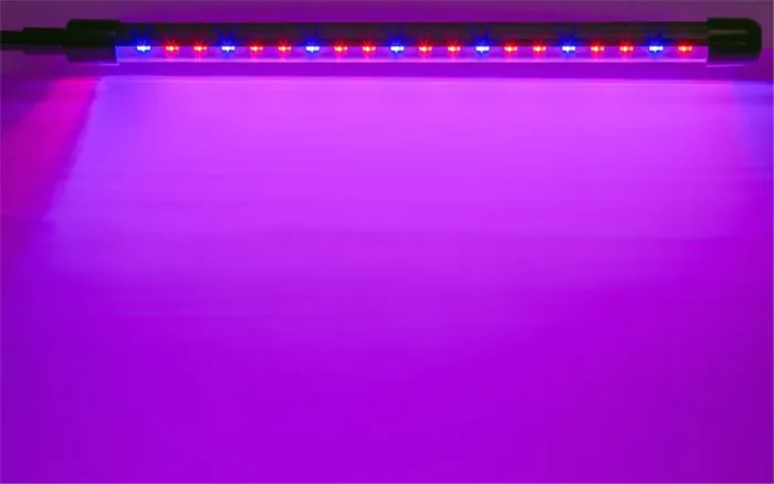 Светильник светодиодный 95 586 NDF-FITO-C01-02-40W-BL 40Вт IP40 на прищепке с таймером для растений красн./син. спектра Navigator 95586