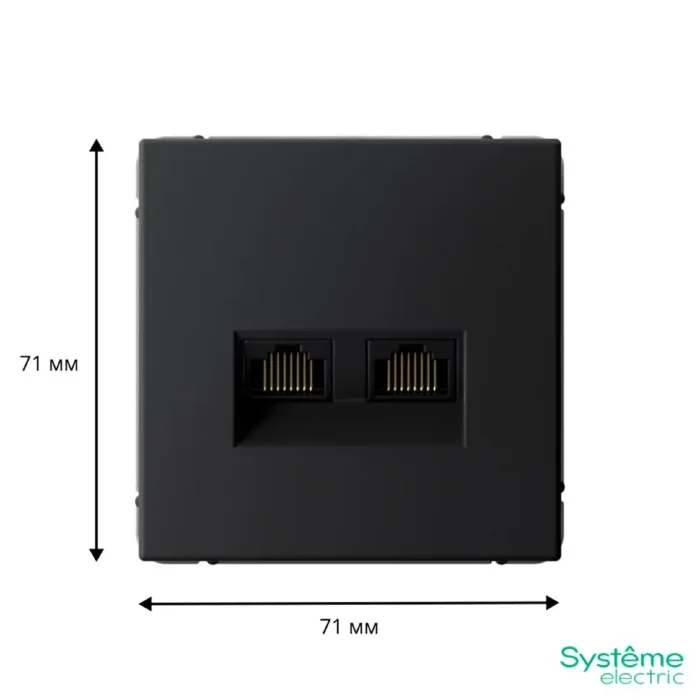 Розетка компьютерная 2-м ArtGallery RJ45 + RJ45 кат.5E механизм карбон SE GAL001085