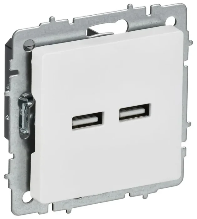Розетка BRITE РЮ10-1-БрАБ USB A+A 3.1А механизм арктич. бел. IEK BR-U21-D31-K91