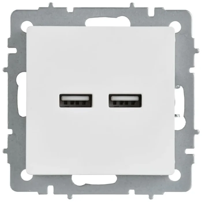 Розетка BRITE РЮ10-1-БрАБ USB A+A 3.1А механизм арктич. бел. IEK BR-U21-D31-K91