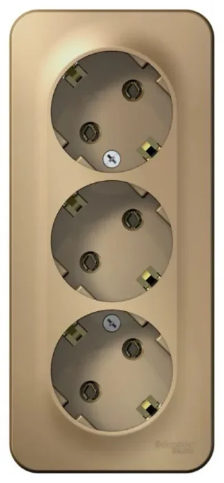 Розетка 3-м ОП Blanca 16А IP20 250В с заземл. без защ. шторок с изолир. пластиной титан SE BLNRA010314