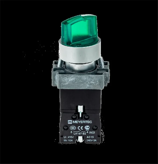 Переключатель с LED подсветкой 220В AC/DC зел. 2 полож. 1NO фикс. мет. MTB2-BK2363 ОВЕН 58214